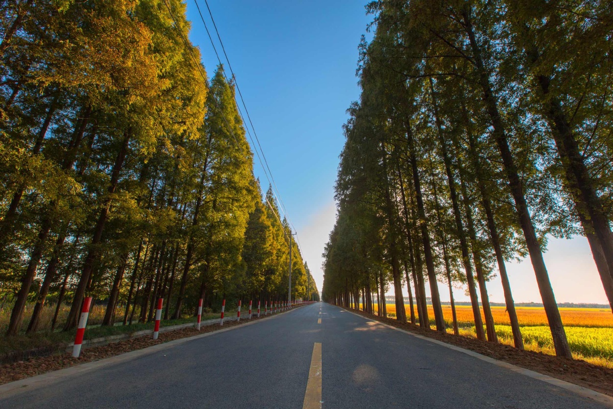 康庄大道幸福小康