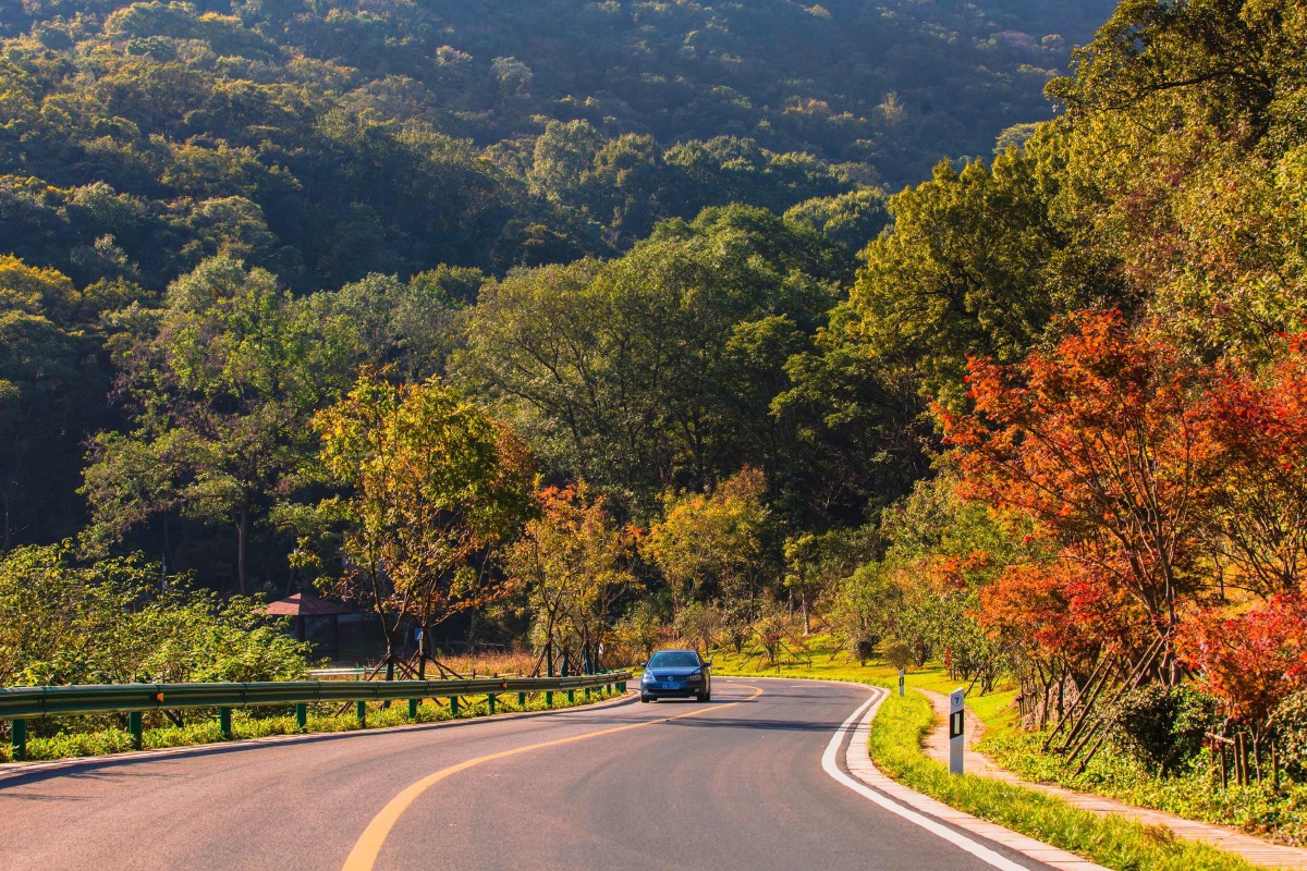 康庄大道幸福小康