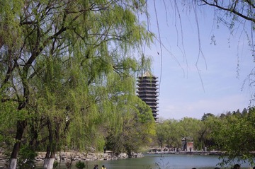 青山隐隐