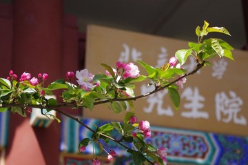 毕业