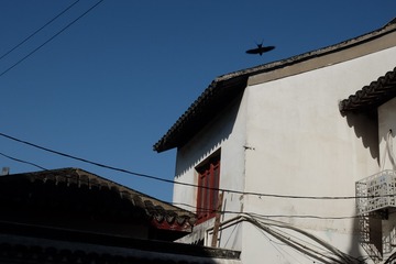 1368561