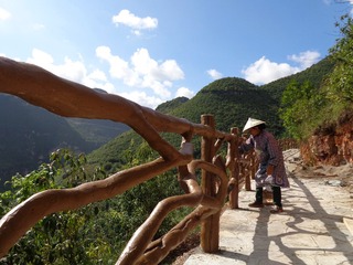 DSC03401_