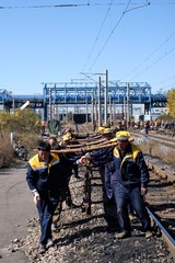 47036
