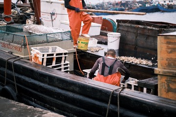 456855