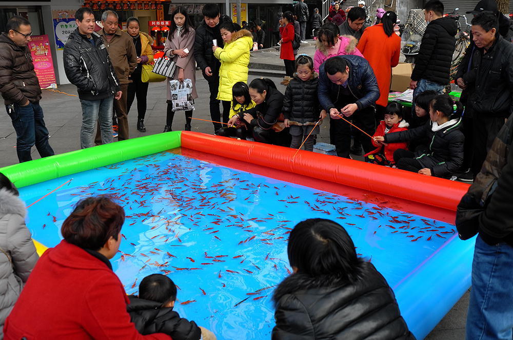 用充气垫做的鱼塘,把金鱼养在里面,供小孩子们娱乐.