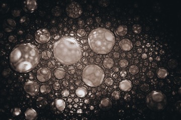 495E732E-6594-4A53-AB5E-2BE805C19574/L0/001