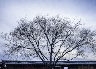 R0002936-编辑-1
