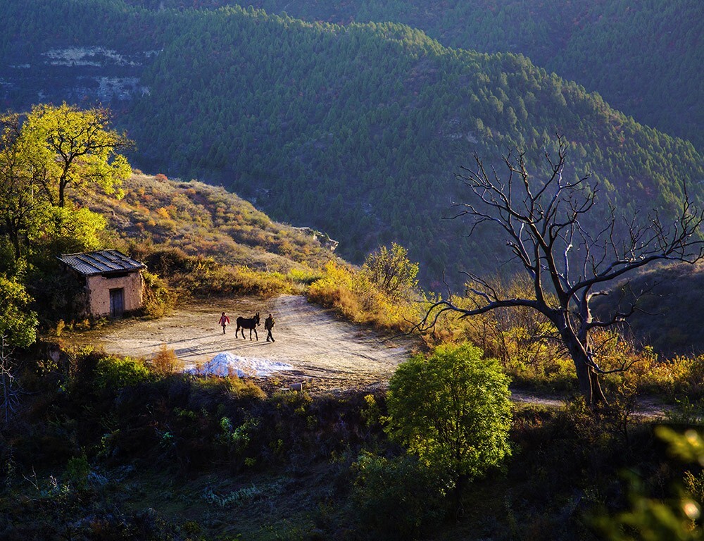 我爱我的家园