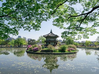 P4240307-HDR-编辑_2000