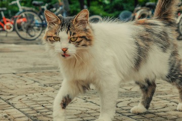P1050801