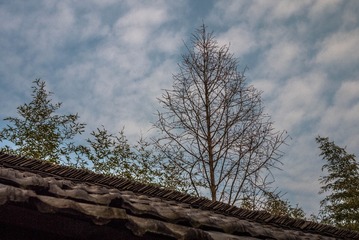 P1000690