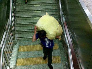 脊梁