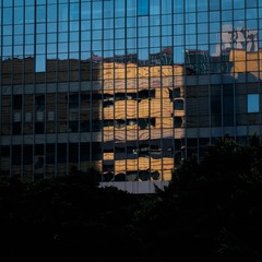 _DSF5312-2