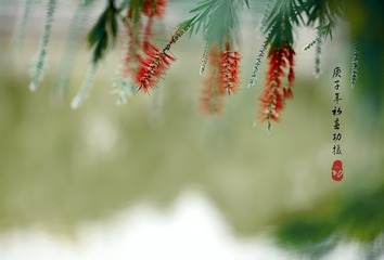 1712789