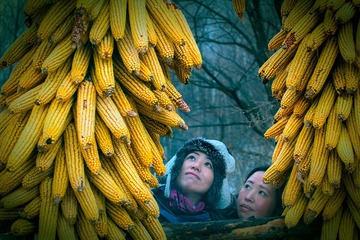 惬意