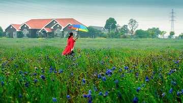 雨中行