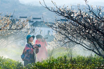 梅园春早