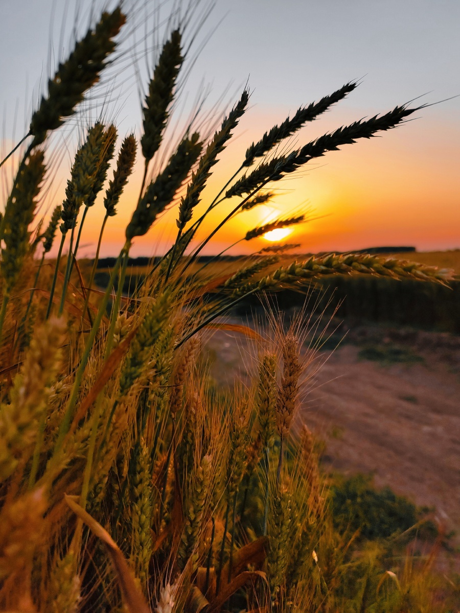 900_1200竖版 竖屏