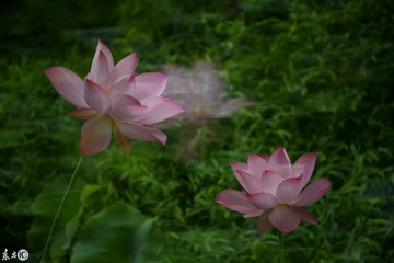 DSC_8947《制作》
