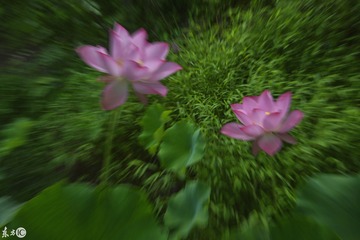 DSC_8959《制作》