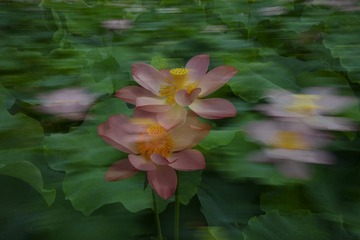 DSC_8923《制作》