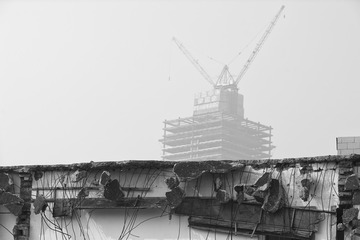 ZHT_8036
