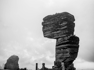 P6166466