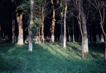 DSC09179-01