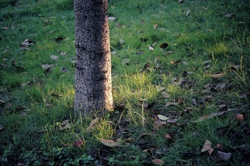 DSC09173-01