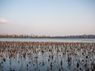 P1050398-1