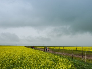 P1060588-7