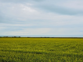 P1060583-6