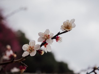 P1080079