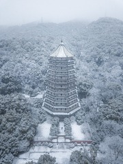 虎年初雪 杭州六和塔