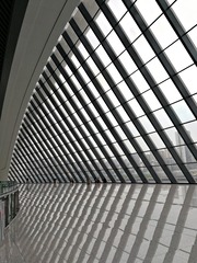 IMG_20230718_152835
