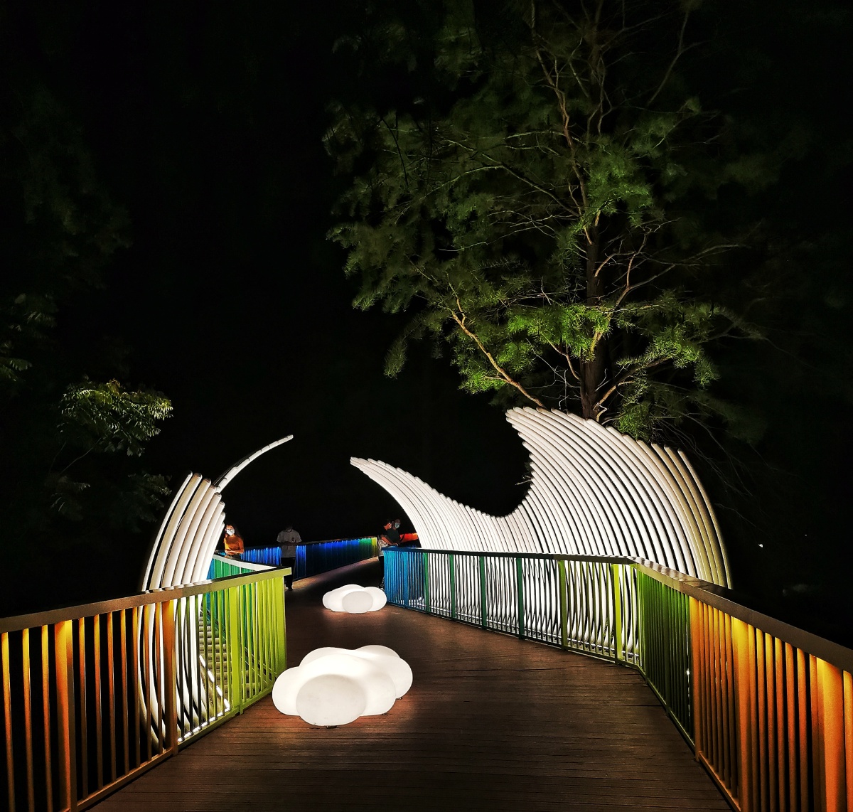 东湖绿道夜景打卡地