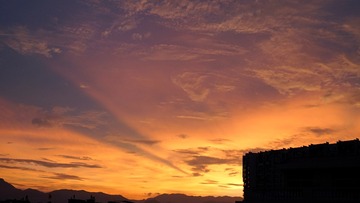 DSC01839_