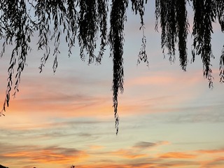 904F3F4D-2845-4C11-AD23-811A6FBA4ECB/L0/001