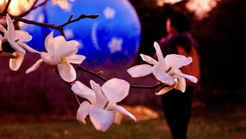 0E882A10-8902-46C4-B25A-A730009702CF/L0/001
