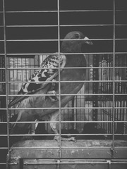 IMG_20160620_203704