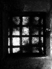 2016-05-16_12-05-20_44674_org-01