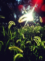 IMG_20160808_201515