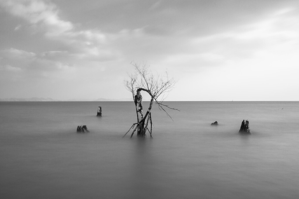 巢湖芦溪湿地