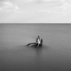 东渡