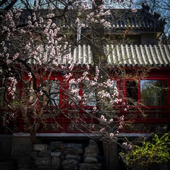P1090629-5