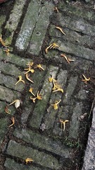 IMG_20160512_175157-01