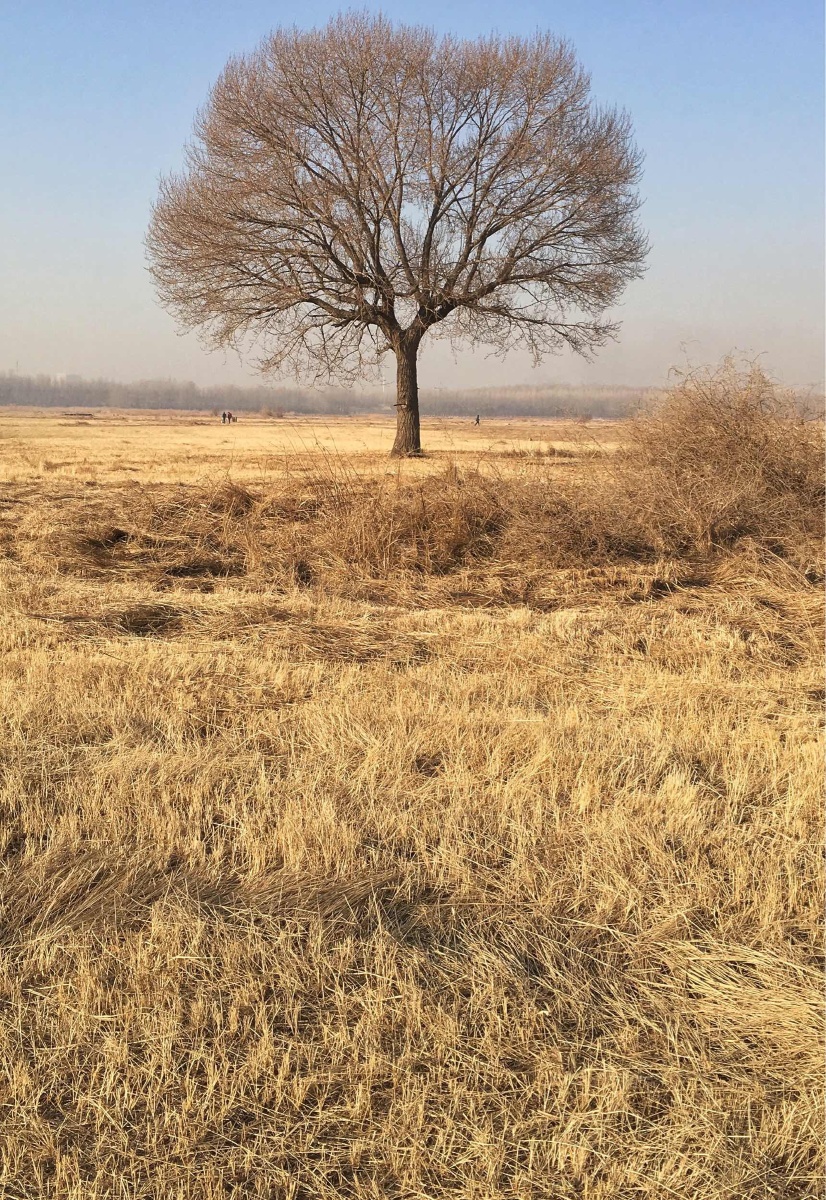 2016年摄于包头.iphone6splus.