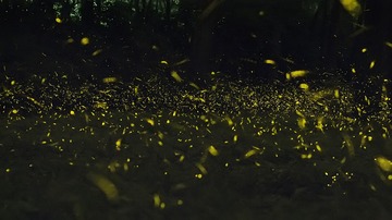 _DSC9581