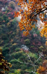 DSC09398-2