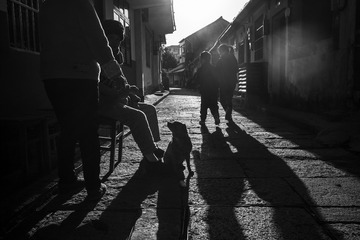 521047D3-CCD0-47F7-8109-E6EE8D69693D/L0/001